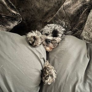 Meet your Posher, Jillian